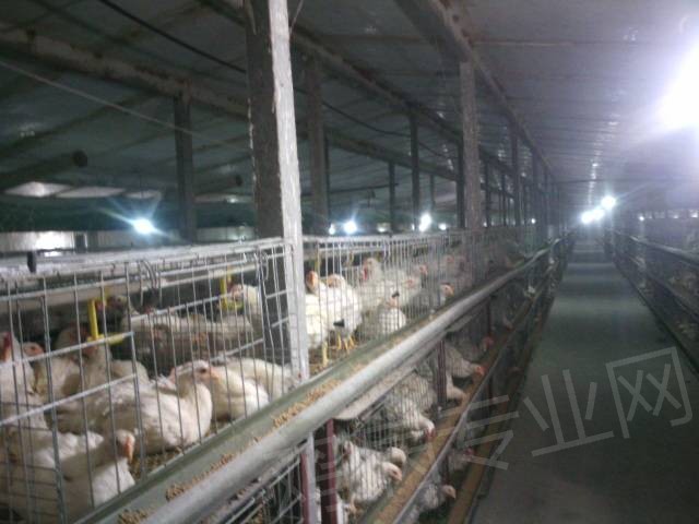 215505qbbp99cof88o8cob.jpg