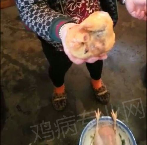 QQͼ20160218100343.png