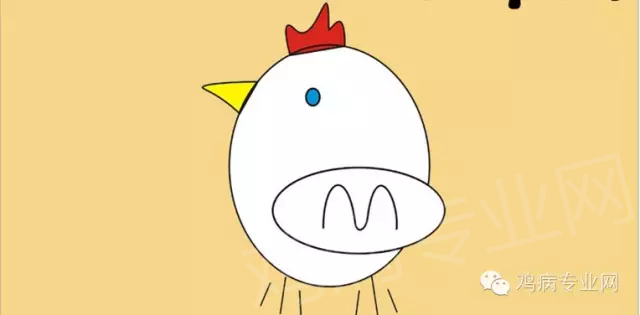 5.png