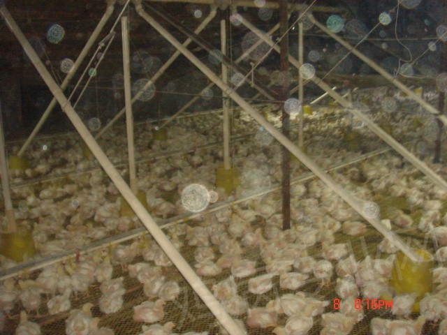 DSC02558.JPG