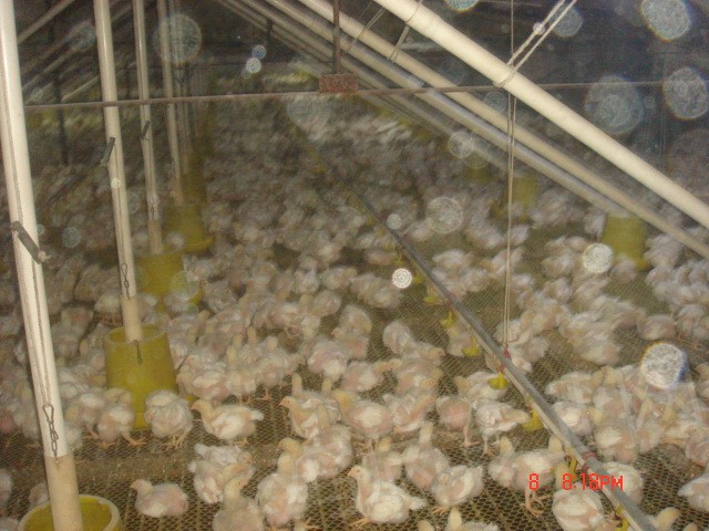 DSC02564.JPG