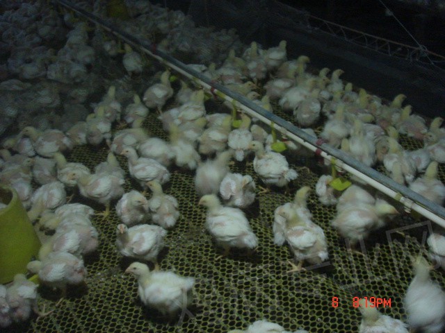 DSC02568.JPG