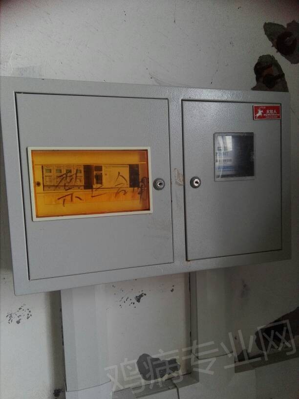 201111v4i6lii679m464q4.jpg