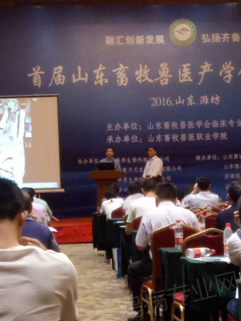 140924c1xuxttucyku1s1b.jpg