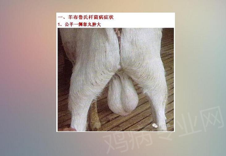 101.jpg