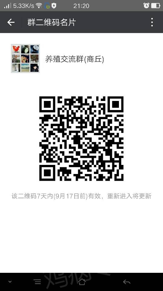 212411d1ch5tughg4hjqnn.png