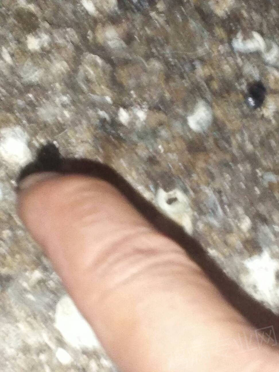 071058wbqn5nqyblb2iyvi.jpg