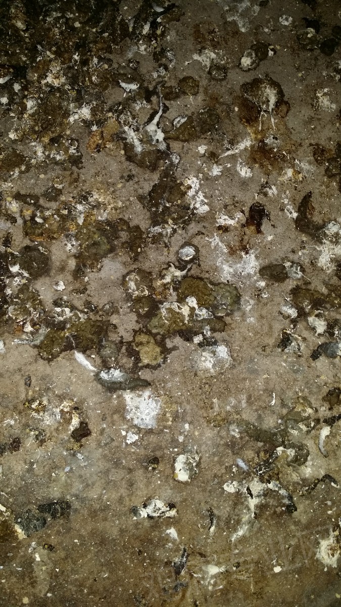 20170212_123407.jpg