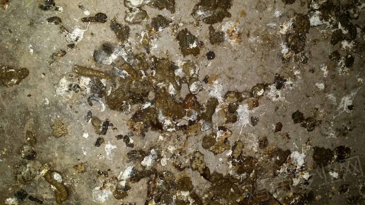 20170212_123445.jpg
