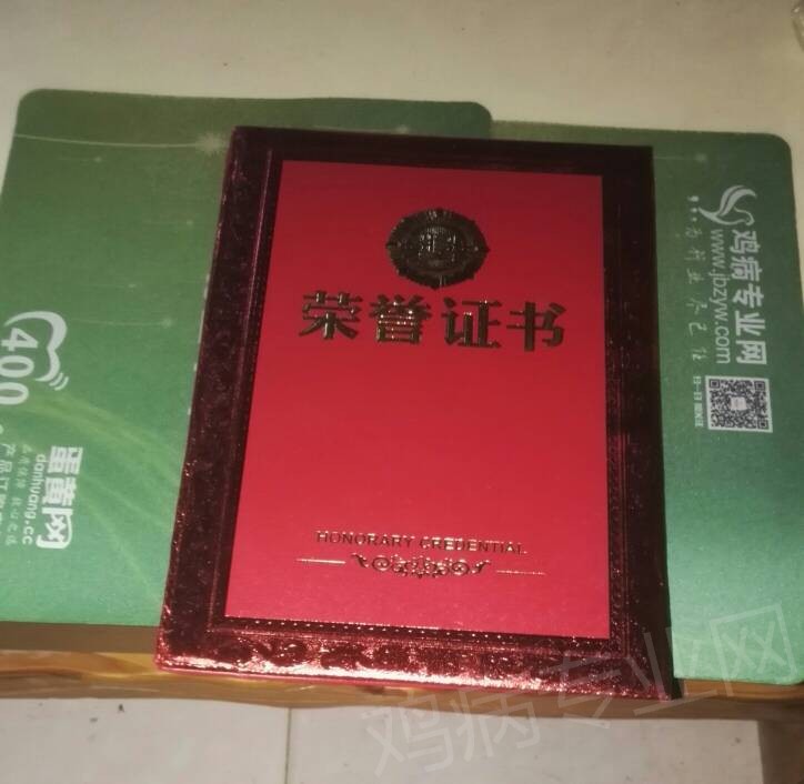 230138jof88g228g8528xg.jpg