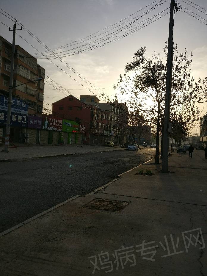 065946z4rtuhnjt6nj0k45.jpg