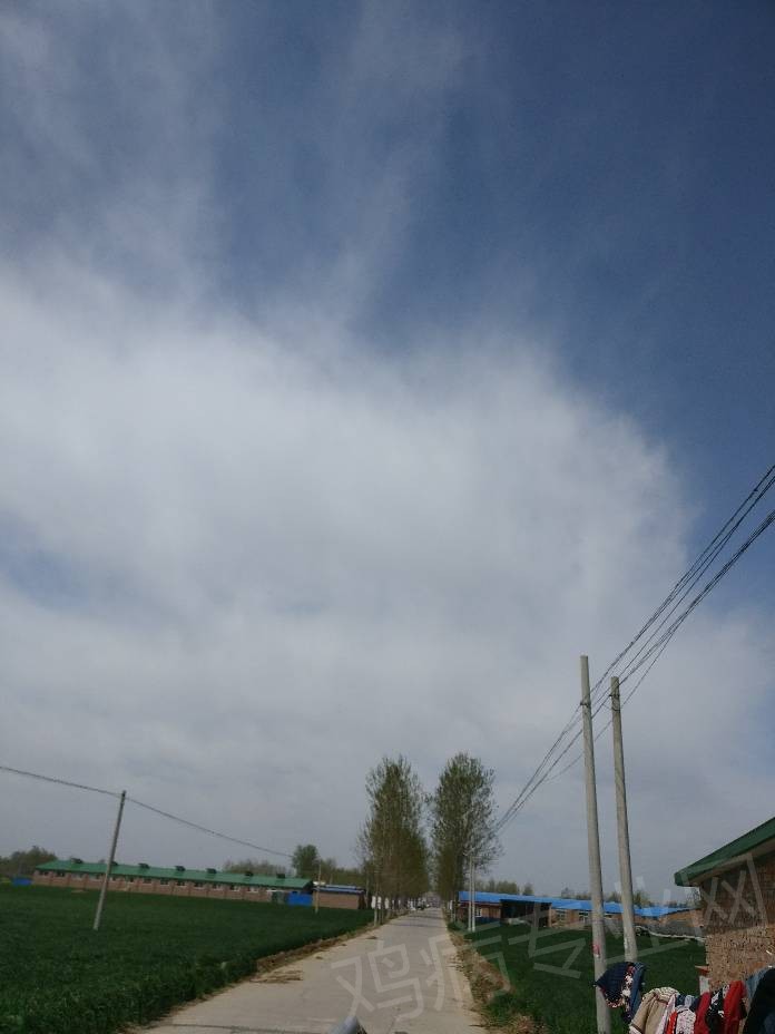 123103qszvv9vbsdsd0usv.jpg