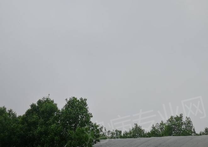 133204g2my7usf227u720v.jpg
