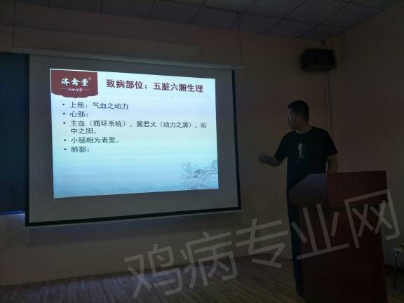 105650vn11krgfkjy81rvk.jpg