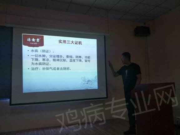 110215iay455243ax4fjzj.jpg