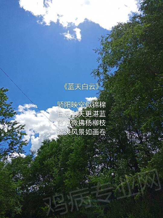 133434loww7ct16pa6j6w7.jpg
