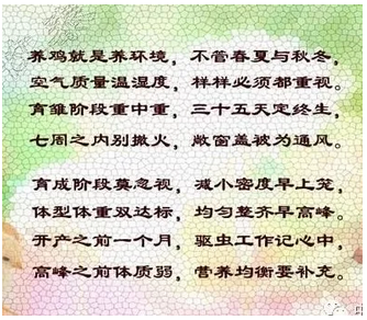 15.png