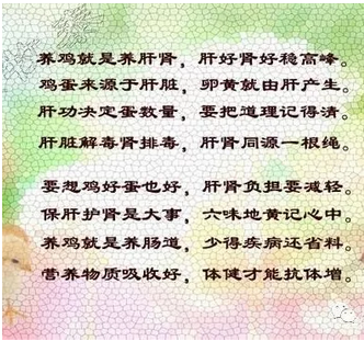 16.png