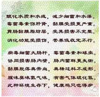 17.png