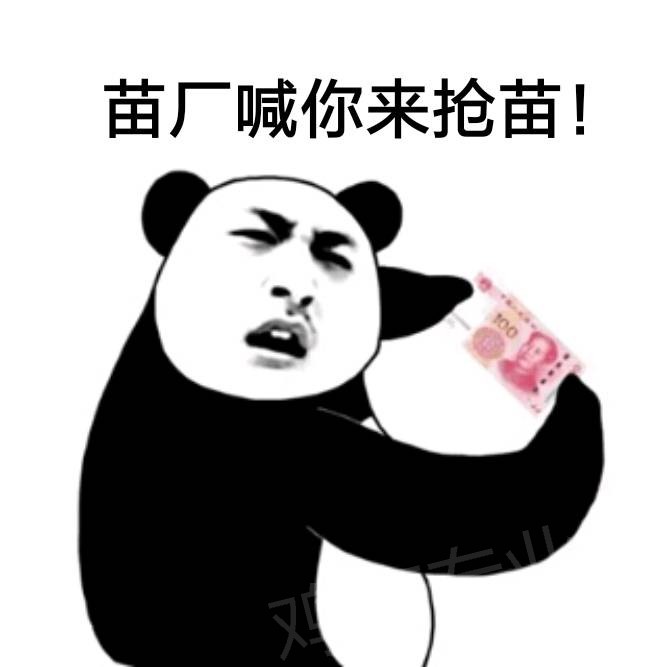 183052kt59xhykhtxuotch.jpg