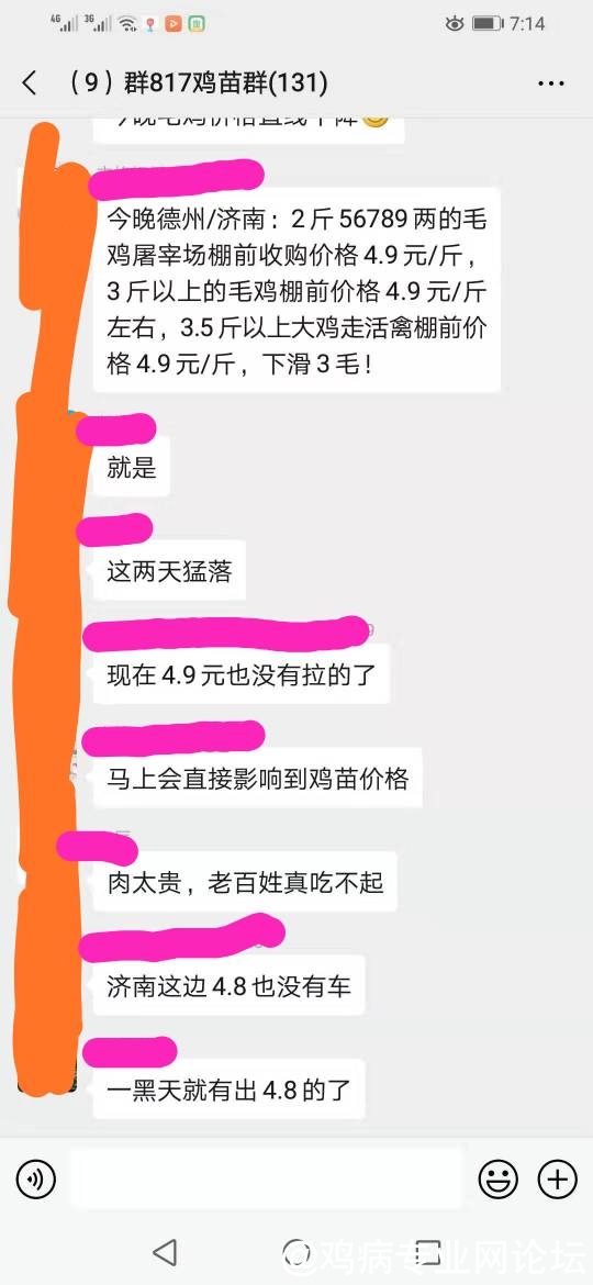 201618anryqjbidq6bv66v.jpg
