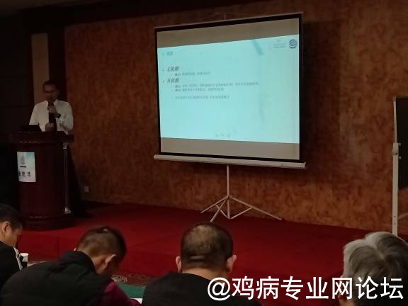 112604y2pcwj47pzkm4ppp.jpg
