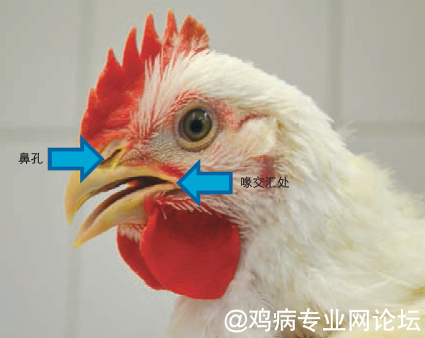 ΢ͼƬ_20200823152749.png