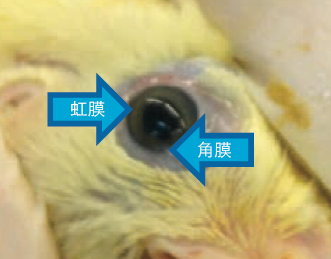 ΢ͼƬ_20200823152938.png