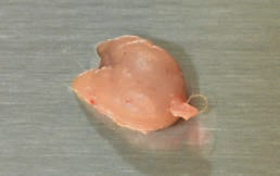 ΢ͼƬ_20200823153106.png