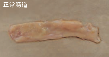 ΢ͼƬ_20200823153158.png