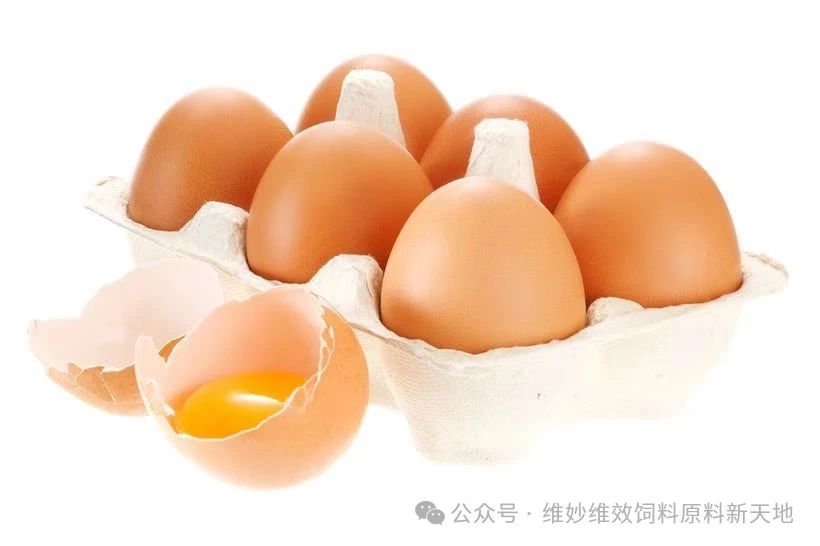 ΢ͼƬ_20250703180255.jpg