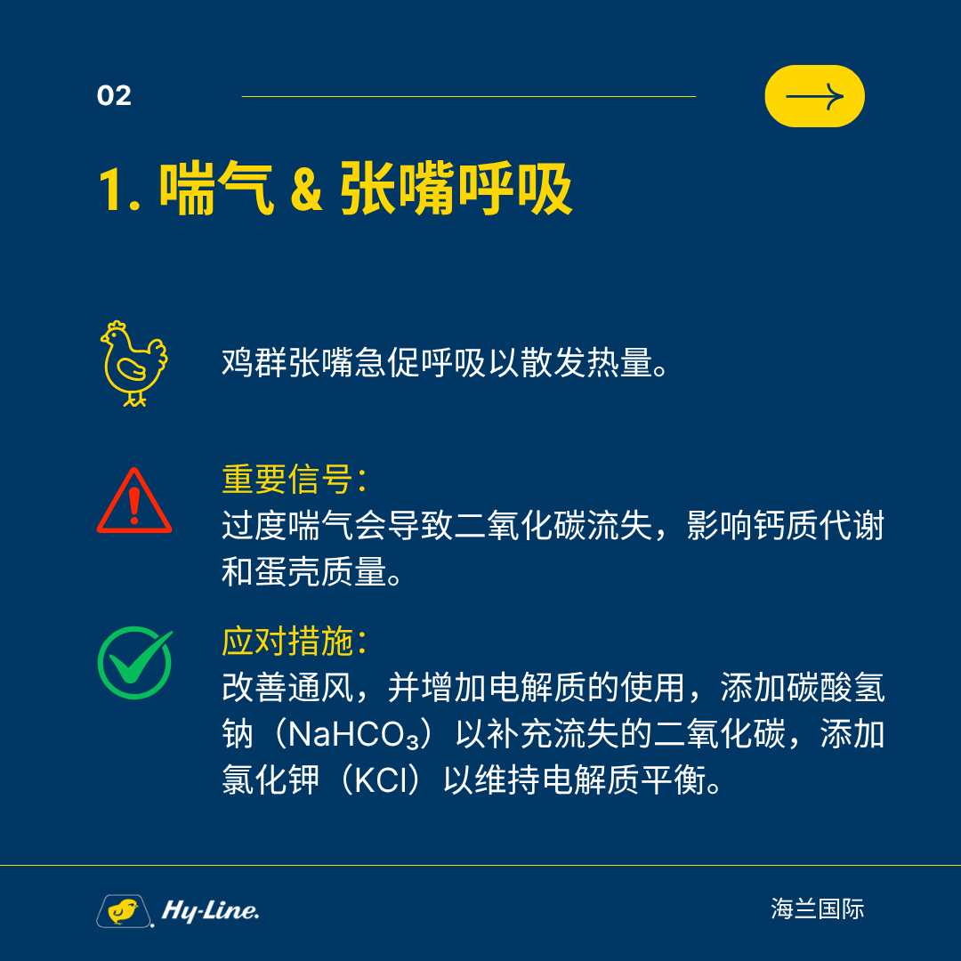 qw3.jpg