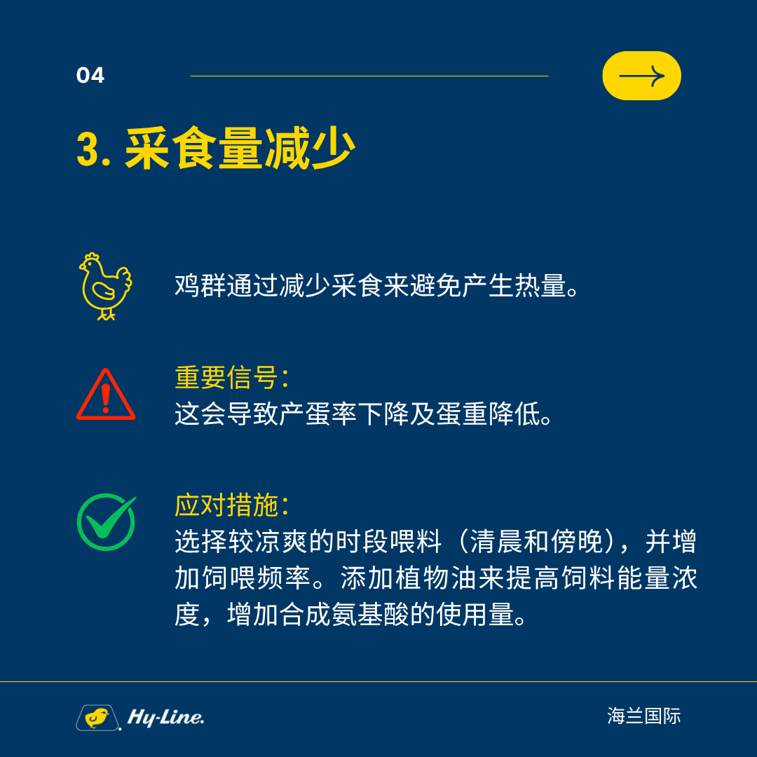 qw5.jpg