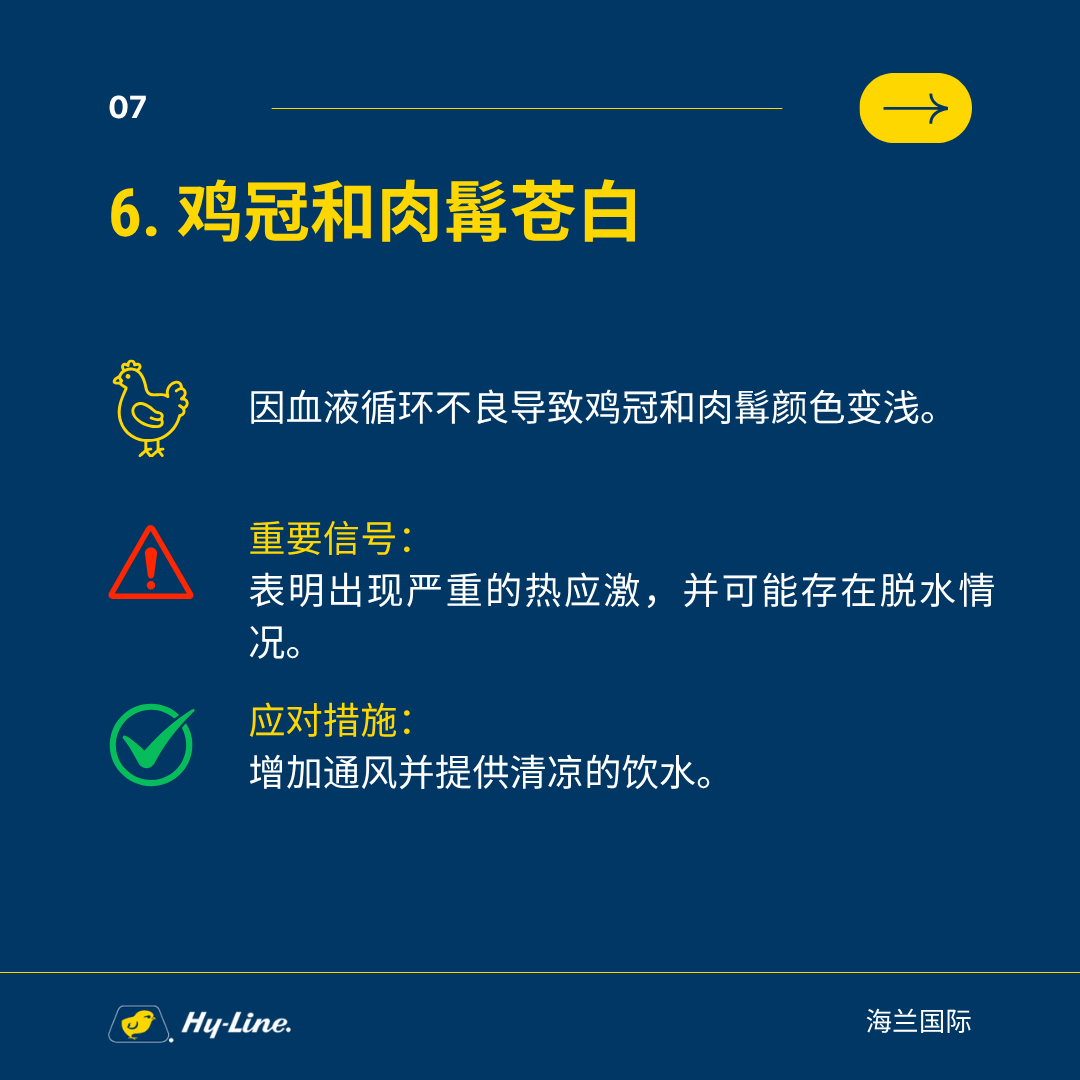 qw8.jpg