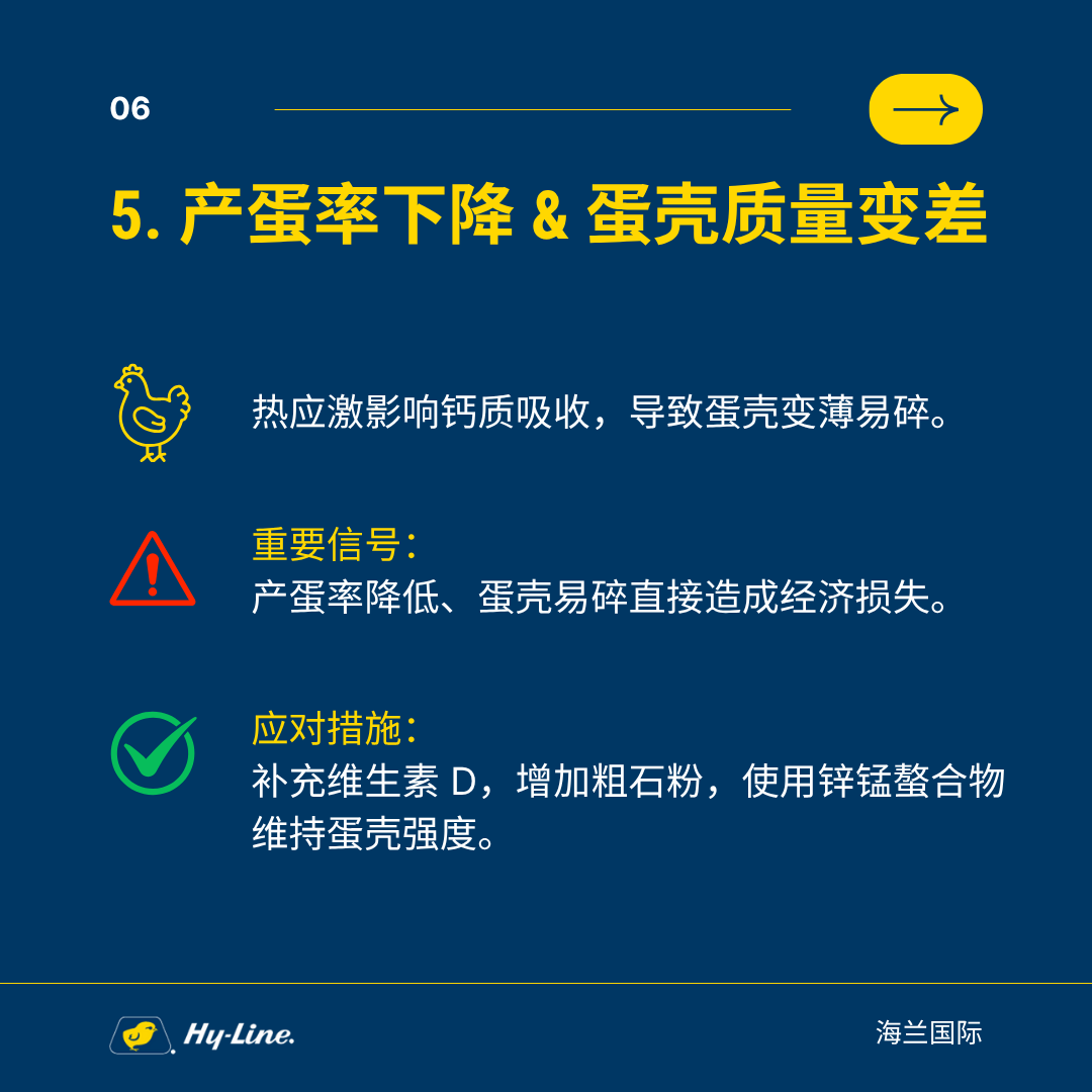qw7.jpg