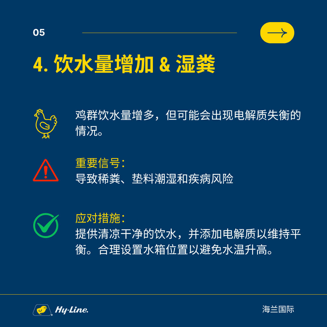 qw6.jpg
