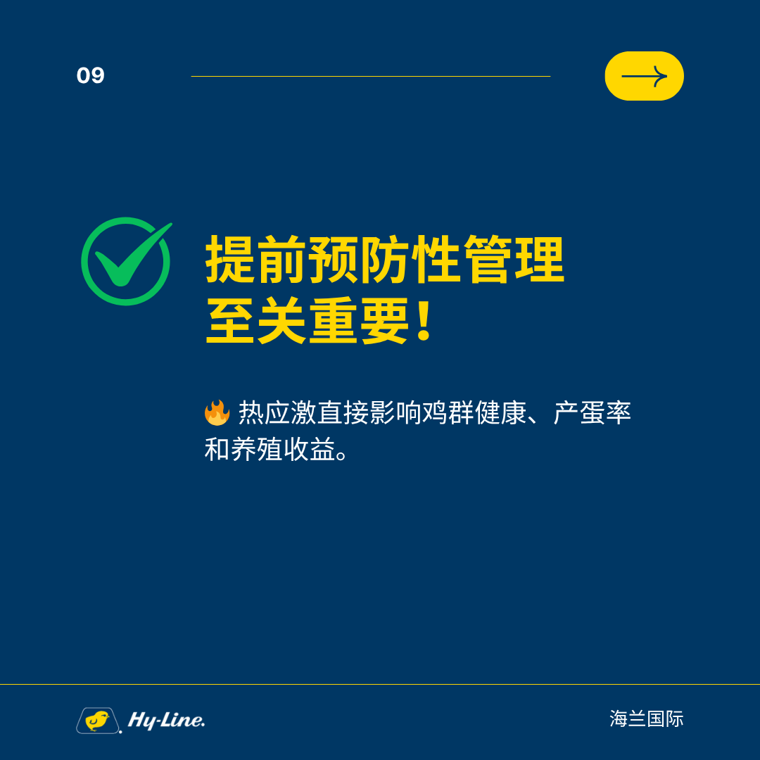 qw10.jpg
