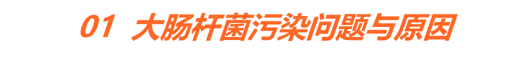 ΢ͼƬ_20250704161957.png