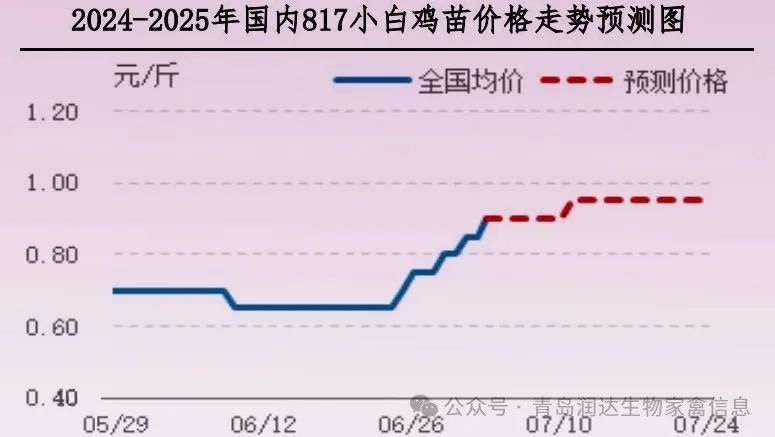 qw5.jpg