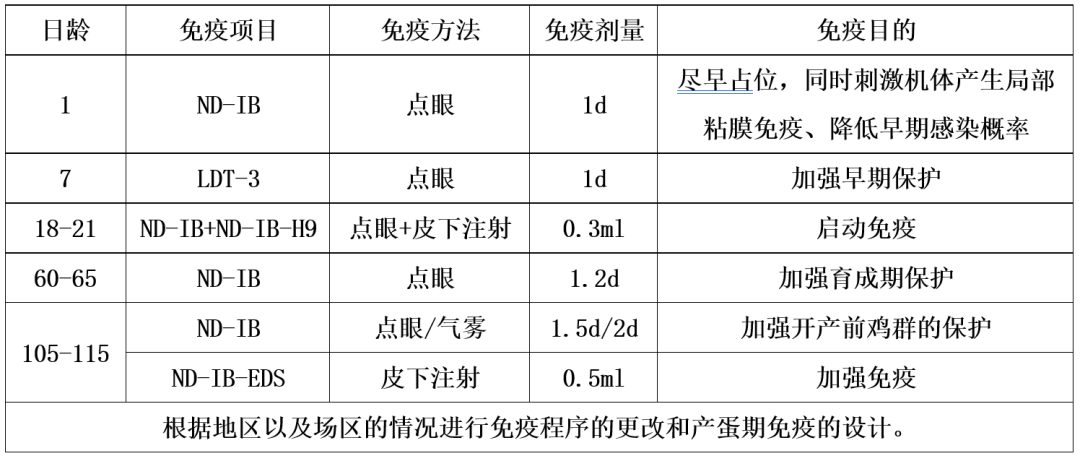 qw3.jpg