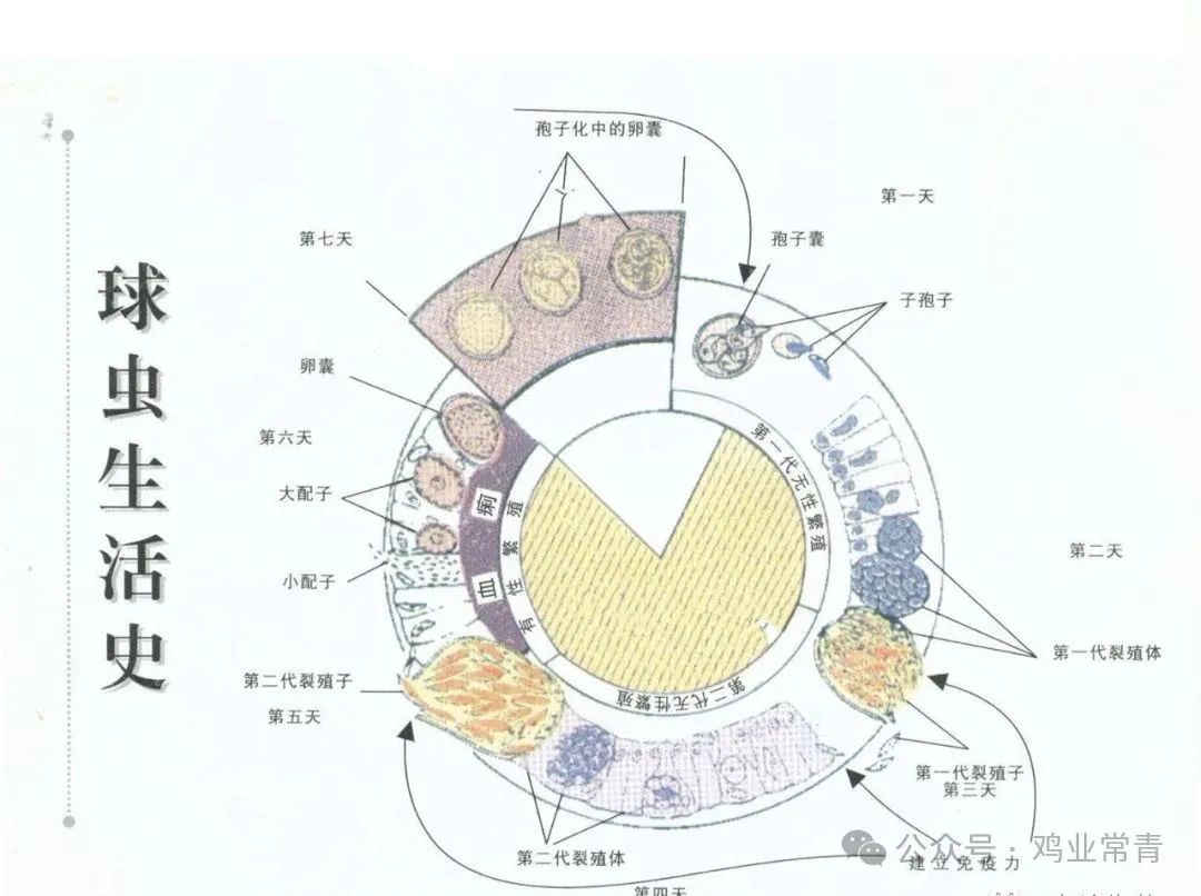 qw1.jpg