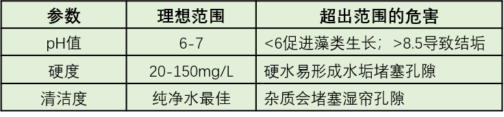 qw15.jpg