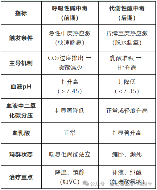qw5.jpg