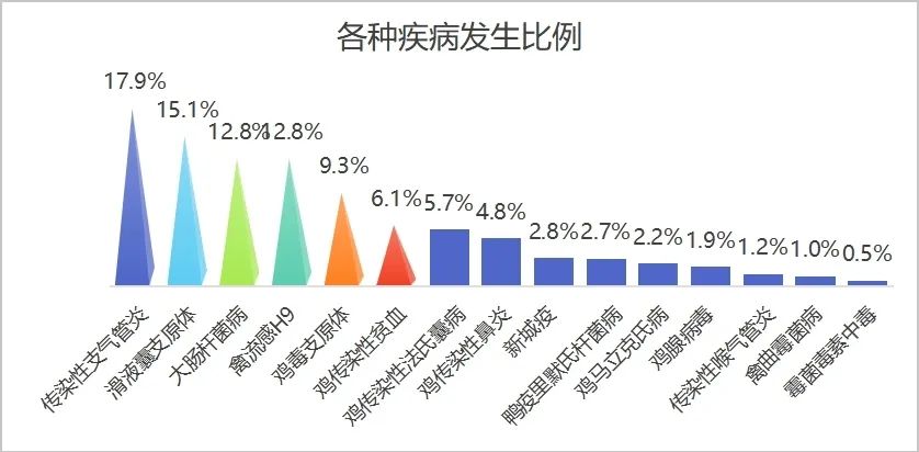 qw3.jpg