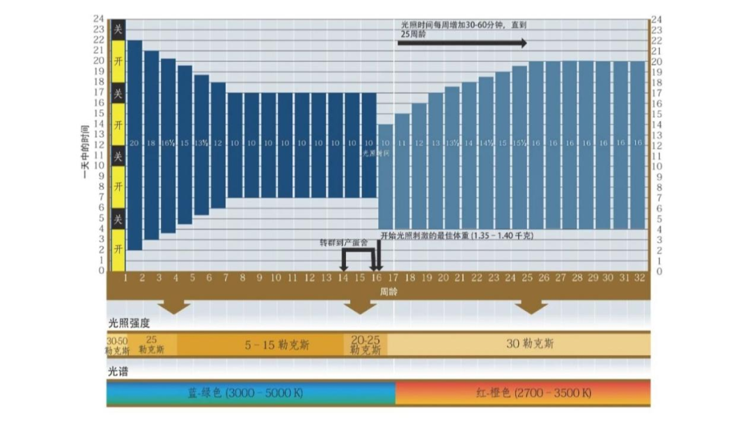 qw5.jpg