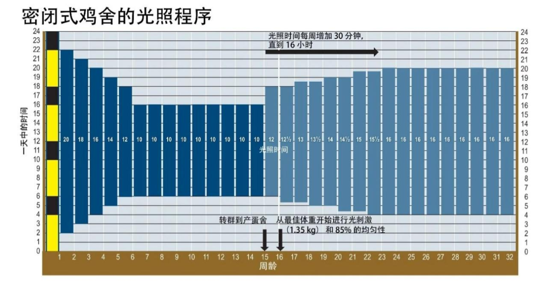 qw6.jpg