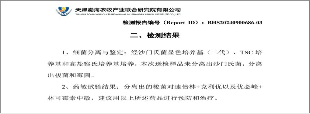 qw4.jpg