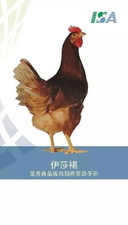 qw1.jpg