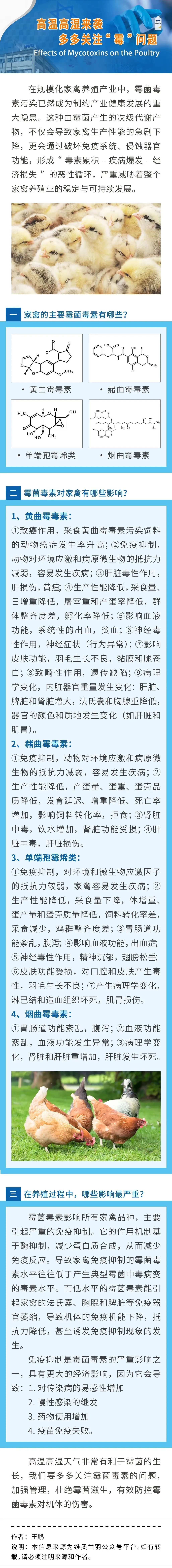 qw1.jpg