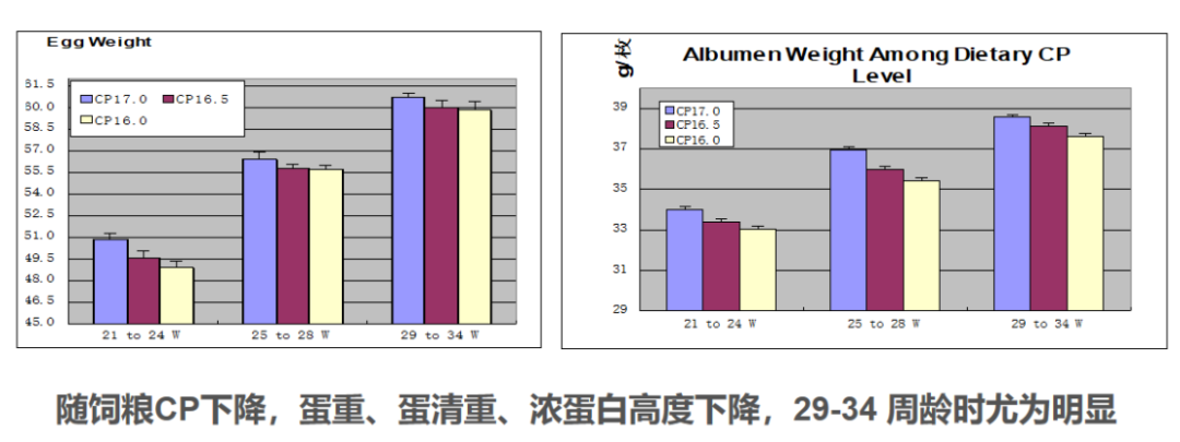qw4.jpg